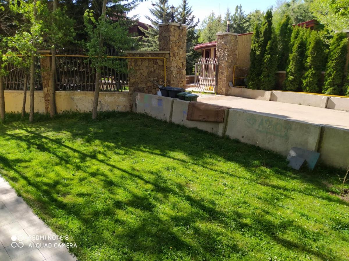 Гудивуди تساجكادزور المظهر الخارجي الصورة